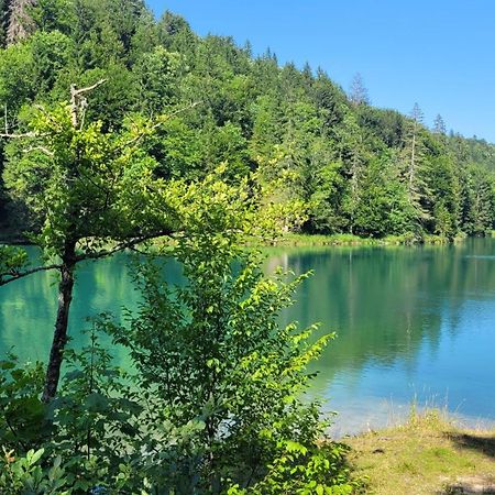 B&B Plitvica Villa Prica Plitvička Jezera Esterno foto