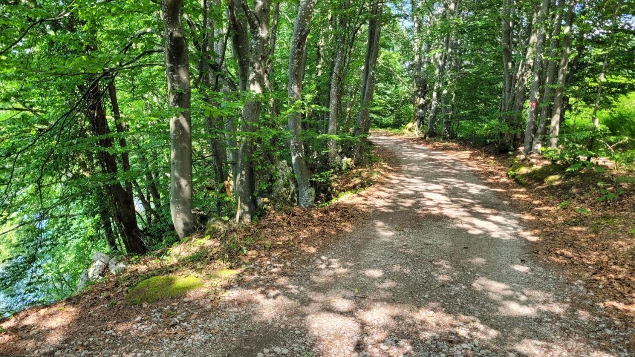 B&B Plitvica Villa Prica Plitvička Jezera Esterno foto