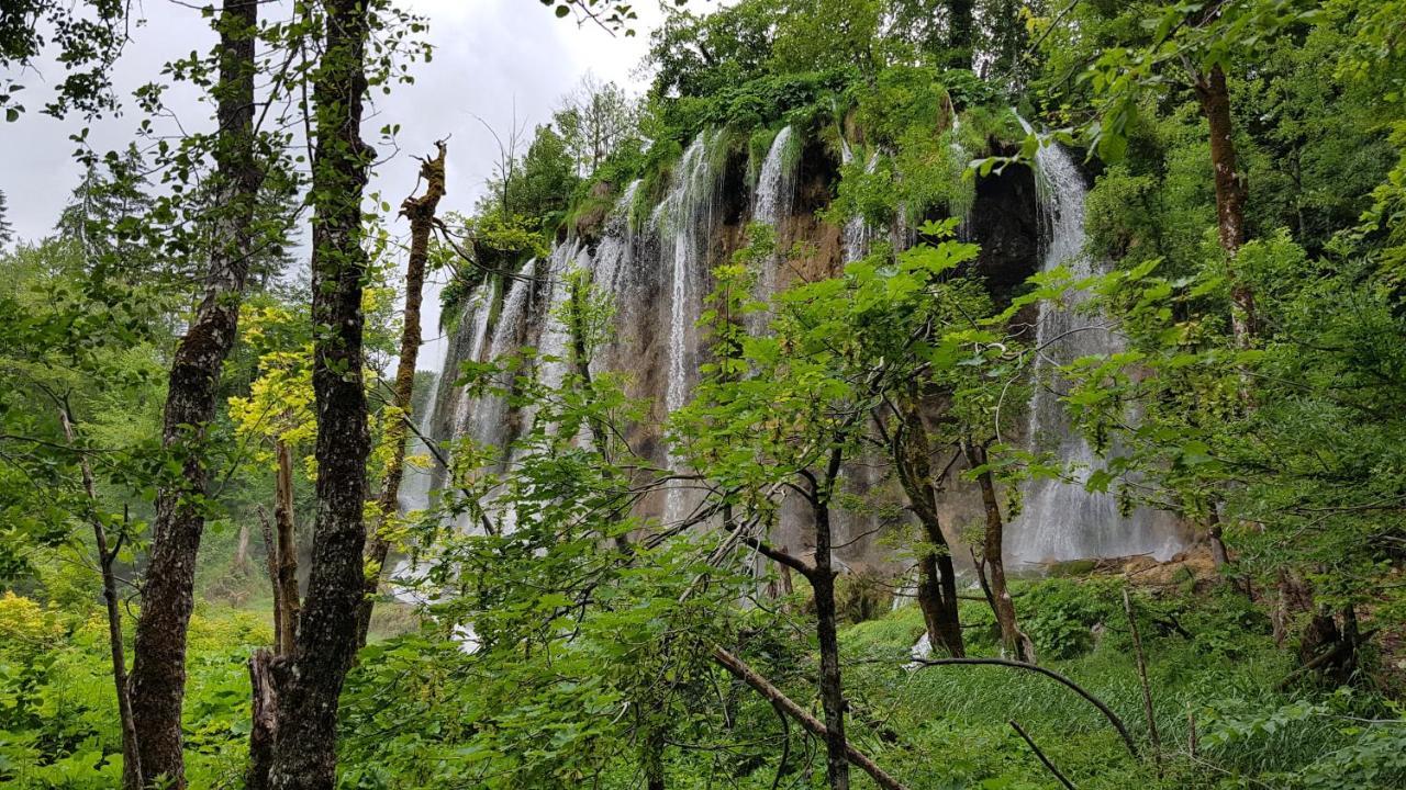 B&B Plitvica Villa Prica Plitvička Jezera Esterno foto
