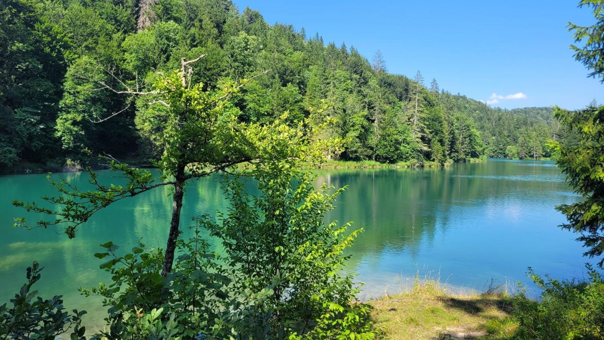 B&B Plitvica Villa Prica Plitvička Jezera Esterno foto